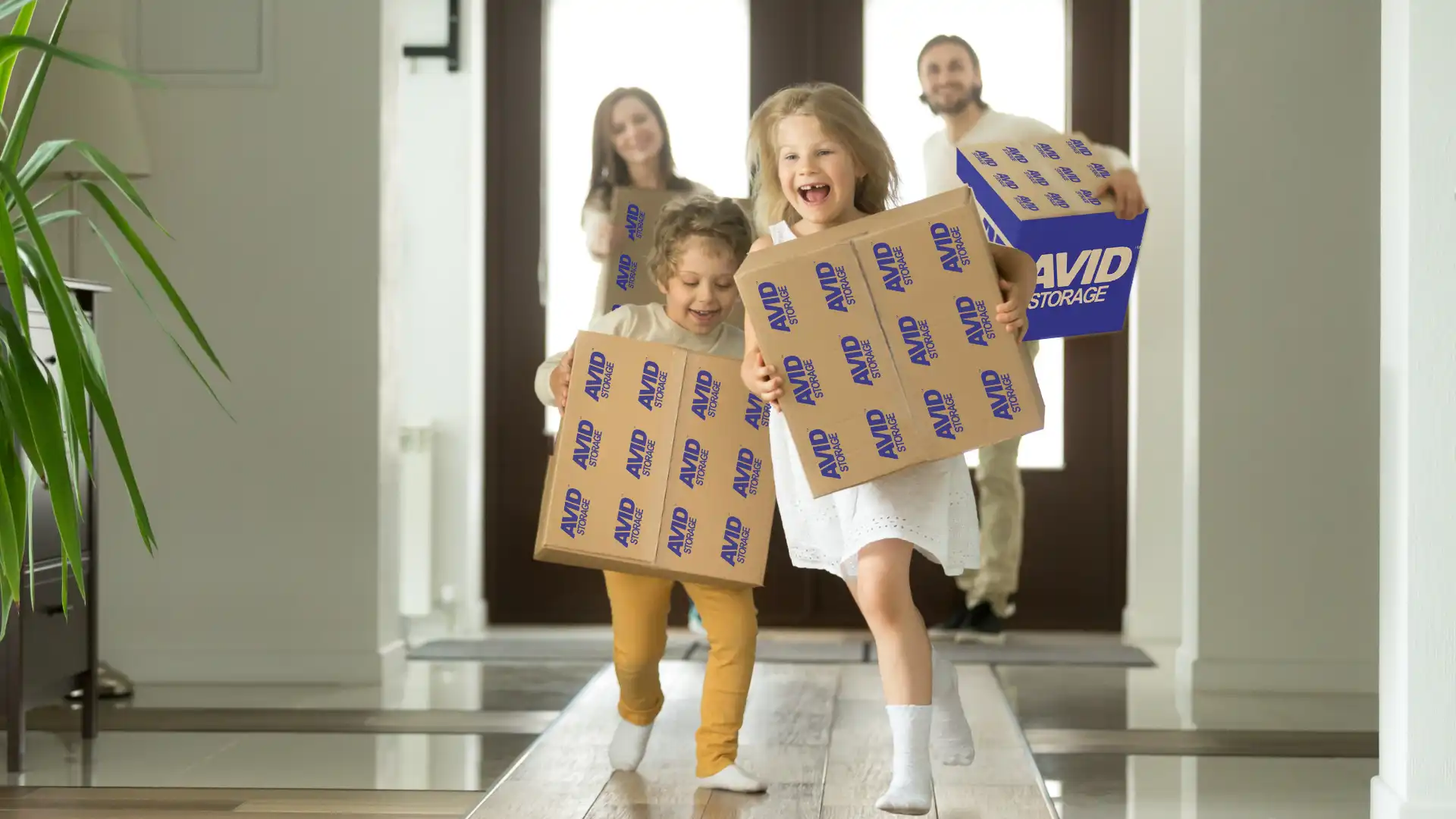 Happy Avid Happy Avid Storage family